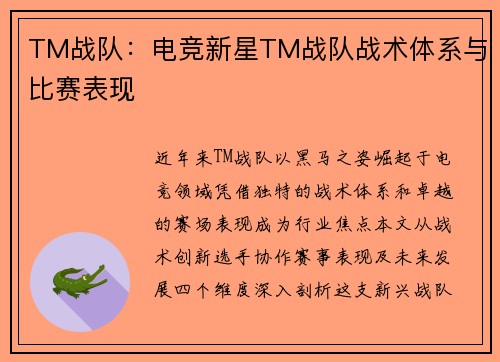 TM战队：电竞新星TM战队战术体系与比赛表现